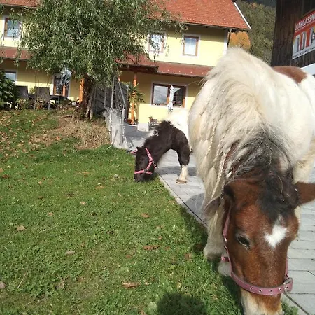 Karlbauer Huette Prázdninový dům *