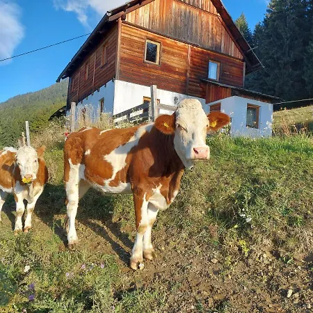 Karlbauer Huette Prázdninový dům