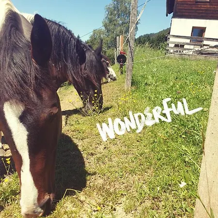 Dom wakacyjny Karlbauer Huette Lendorf