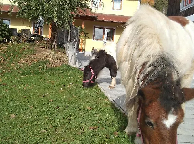 Karlbauer Huette בית נופש *