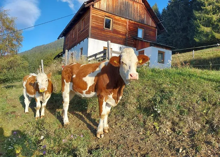 Karlbauer Huette בית נופש