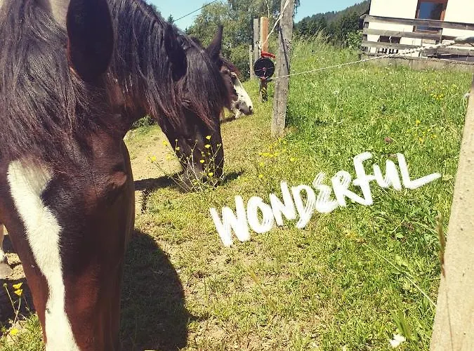 בית נופש Karlbauer Huette Lendorf